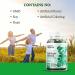 Wild Organic Ginkgo Biloba Gummies - Brain & Mental Support Supplement for Mood, Focus, Energy & Blood Circulation - Vegan Non-GMO - 60 Chews - Buy Online on GoSupps.com