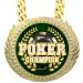 Texas Holdem Champ Trophy Award - 6x5.25 Inches with 34 Inch Chain and Presentation Bag - Buy Online on GoSupps.com