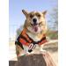 Pets First NFL Cincinnati Bengals NFL Jersey - XX-Large - Buy Online on GoSupps.com