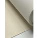 Professional Artist Painting Backdrop Canvas - 17 x 40' | High-Quality Materials - Buy Online on GoSupps.com