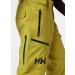 Helly Hansen Men's Ridge Shell Pants - Antique Moss | Waterproof & Breathable eCommerce International Shipping - Buy Online on GoSupps.com