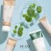 Buy THE PLANT BASE AC Clear Cica Cleansing Foam 120ml - Acne Care with Centella Asiatica | Korean Skincare | AHA BHA PHA LHA - Buy Online on GoSupps.com