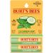 Burt's Bees 100% natural moisturizing lip balm cucumber mint with beeswax 2 Count