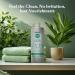DHS Clear Shampoo 16 oz - Gentle Formula for Sensitive Scalp - Pack of 1 - Buy Online on GoSupps.com