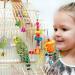 Chikanb 10-Piece Parrot Toys Set - Natural Wood Bird Cage Swings & Toys for Small & Medium Pets - Buy Online on GoSupps.com