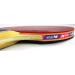 Butterfly B603FL Ping Pong Paddle Set with Case | Tournament Grade Table Tennis Racket for High Speed & Spin - Buy Online on GoSupps.com
