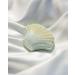 Holler and Glow Beauty and The Shell Shell Shaped Bath Fizzer - Buy Online on GoSupps.com
