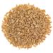 Organic Italian Pearled Farro 5 Pounds - Non-GMO, Kosher, Vegan Whole Grain. High Fiber & Protein. Sodium & Sugar Free - Bulk Pack - Buy Online on GoSupps.com
