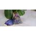 Jet Amethyst Ball Orgone Pyramid - 300g Aum Symbol - Chakra Balancing Gift with Free Crystal Therapy Booklet - Positive Energy & Harmony - Buy Online on GoSupps.com