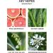 NEST Fragrances Grapefruit Liquid Hand Soap 10 Fl Oz - Buy Online on GoSupps.com