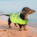 Buy Cit toile Dog Swimming Jar - Life Jacket for Small Medium & Large Dogs - Mermaid Tail Vest - Green 2XL XXL - Buy Online on GoSupps.com