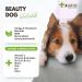 4-Legged Beauty Dog Multi-Vitamin | MSM Omega 3 B Complex & More | Premium Canine Health Formula - Buy Online on GoSupps.com