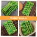 HOMSFOU 40 Pcs Simulated asparagus ornaments rustic decor plastic flower vase cabinet decor vegetable fruit ornament decorative vegetables lifelike Simulated Asparagus Models cupboard fake - Buy Online on GoSupps.com