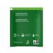 Stash Tea Premium Green Tea 100 Bags - 100 Count Box, Fresh & Flavorful - Buy Online on GoSupps.com