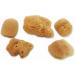 Constantia Pets Hermit Crab Real Sea Sponges - 5 Pack | Nutrient-Rich & Safer Drinking | Maintain Habitat Tank Humidity - Buy Online on GoSupps.com