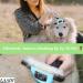 Laadi Deshedding Tool for Dogs and Cats - Reduces Shedding by Up to 95% - Best Grooming Choice for Pets - BLUE - Buy Online on GoSupps.com