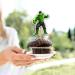 Seyal Hlk Cupcake Topper - Buy Online on GoSupps.com