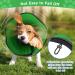 Bonthee Halskrause Dog Collar - Breathable & Adjustable Elizabethan Protective Collar for Post-Op Care Soft & Leak Protection - Prevents Licking Wounds - Green - Buy Online on GoSupps.com