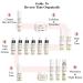 Visage Pure Triple Elastin Pro Moisturizer - Skin Firming & Elasticity Boost - USDA Organic - Physician Formulated - Buy Online on GoSupps.com