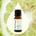 Plant Therapy Bergamot Essential Oil 10 mL (1/3 oz) 100% Pure Undiluted Uplifting Fresh Sent for Aromatherapy and Clear Skin - Buy Online on GoSupps.com