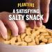 Planters Salted Cashew Halves & Pieces 14 oz Canister - 1 Pack - Buy Online on GoSupps.com