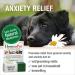 HomeoPet Anxiety Relief 15 ml | Natural Pet Calming Solution - Buy Online on GoSupps.com