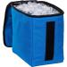 Dynamic Discs Soldier Cooler Bag | 10 Disc Capacity with Removable Insulated Cooler - Cobalt Blue - Buy Online on GoSupps.com