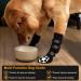 Anti-Slip Dog Socks for Small & Medium Dogs - 2 Pairs of Double-Sided Paw Protection with Traction Control for Hardwood Floors - Buy Online on GoSupps.com