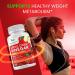 Pure 1950mg Apple Cider Vinegar Supplement | 180 Capsules | No Sour Taste | Pills for Healthy Metabolism  Bloating & Energy | Detox & Digestion Support| Non-GMO  Gluten Free | 100% Natural & Raw - Buy Online on GoSupps.com