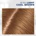 Clairol Root Touch-Up 6.5A Lightest Cool Brown Hair Dye 1.1 Fl Oz - Pack of 1 - Buy Online on GoSupps.com