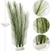 Buy Aquarium Plants Decoration - Lifelike Plastic & Artificial Aquatic Plants for Stunning Aquarium Decor - Buy Online on GoSupps.com