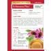 Organic Echinacea Plus Tea Traditional Medicinals 16 Bag - Buy Online on GoSupps.com