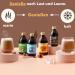 Breaknow Hazelnut Coffee Concentrate - 30x Portions Iced Coffee Syrup - Quick 10-Second Cold Brew | 300ml Pack for Home & On-the-Go - Buy Online on GoSupps.com