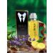 Bold Pure Scent Aromatic Spicy fragrance for men. Eau de Toilette 3.4 Fl. Oz. - Buy Online on GoSupps.com