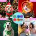 Washable Hair Color for Dogs | Temporary Pet Safe Hair Wax in Fun Colors - Perfect DIY Gifts for Dog Lovers - Buy Online on GoSupps.com