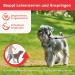 Beaphar Gentle Leader Dog Handlebars for Small Breeds | Nylon Training Aid for Control & Guidance | Size S - Black - Buy Online on GoSupps.com