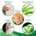 NATURAL CONCEPTS Hand Sanitizer 70% Alcohol with Aloe & Vitamin E 2 oz - Pack of 12 - Buy Online on GoSupps.com