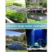 Buy Pawfly 40 cm Air Stone Cylinder - Top Bubble Diffuser for Large Aquariums Ponds & DWC Systems - International Shipping Available - Buy Online on GoSupps.com
