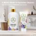 Aromatherapy Luxury Liquid Hand Soap Vegan Moisturizing Aloe Vera & Botanical Oils Flower Market Scent 16 Oz for Kitchen & Bathroom - Buy Online on GoSupps.com