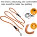 Shop Stretch Comfort Leash in Orange - Durable & Stylish Pet Leash for Maximum Comfort | International Shipping Available - Buy Online on GoSupps.com