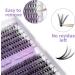 Individual Lashes Cluster Extension 240PCS C Curl 0.07mm 20D/30D Mix 12-16mm RR-12-16mm - Buy Online on GoSupps.com