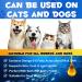 HRAMEX Salmon Oil for Dogs & Cats Omega 3 Fish Oil for Dogs Liquid Food Supplement for Pets Supports Healthy Skin & Coat Joint & Bone Health Natural Allergy & Inflammation Defense 8.8 oz - Buy Online on GoSupps.com