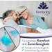 Harmony Care Maxi Suction - Strong Adult Diaper Pants for Men & Women | Discreet Incontinence Pants Size L 32 Pack - Buy Online on GoSupps.com