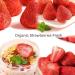 Buy Xiaocun Diary Freeze Dried Whole Strawberries - Natural Dehydrated Strawberry Snacks in Resealable Bag (3.8 OZ) - Delicious Healthy Fruit Crisps for International Shipping - Buy Online on GoSupps.com