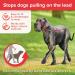 Beaphar Gentle Leader Dog Halter - Large Size Red | Comfort & Control for Your Dog - Buy Online on GoSupps.com
