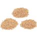 PFOTELOMP XXL Cat Grass Re-Planting Set | Wheat Grass & Earth | DIY Pot Kit for Cats - Ideal for Porcelain & Bamboo - Buy Online on GoSupps.com