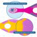 6 Pack - Baby Toothbrush  0-2 Years  Soft Bristles  BPA Free | Toddler Toothbrush  Infant Toothbrush  Training Toothbrush  Includes Free Toothbrush Holder - Buy Online on GoSupps.com