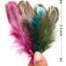 THARAHT 120PCS Natural Pheasant Plumage Feathers - 2-3 Inches, Mix Colour for Sewing, Crafts, Clothing, Jewelry, Wedding, Hair, Hats, Dream Catcher Decoration - Buy Online on GoSupps.com