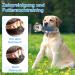 Frbyvad Squeaking Dog Toys for All Sizes - Interactive Durable & Fun Toys for Puppies & Large Dogs - Buy Online on GoSupps.com