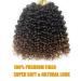 Gogo Curl 14 Inch 8 Packs Ombre Dark Brown Curly Crochet Hair for Black Women - Wavy Beach Curls Synthetic Braiding Extensions - Buy Online on GoSupps.com